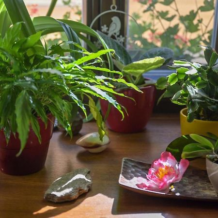 Penzion A Wellness U Trebonske Madony エクステリア 写真
